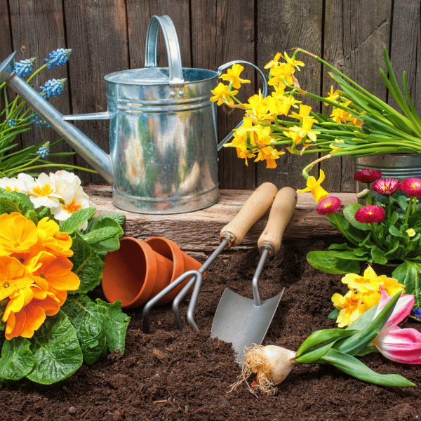 un bac de jardin avec des fleurs et des outils de jardinage