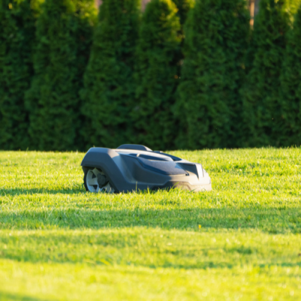 Robotic Mower
