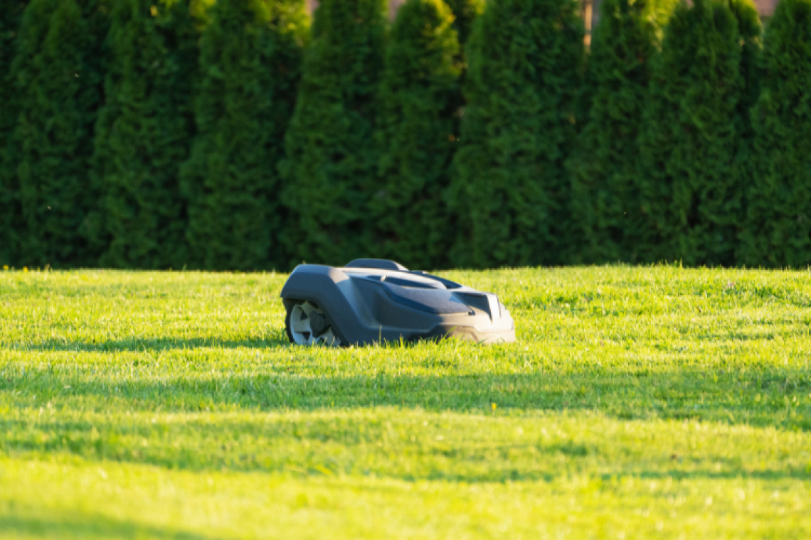 Robotic Mower