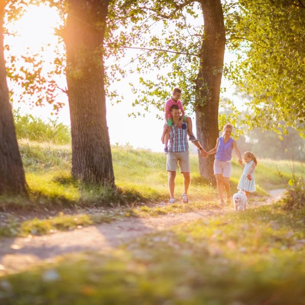 Template Blog picture Open (23)